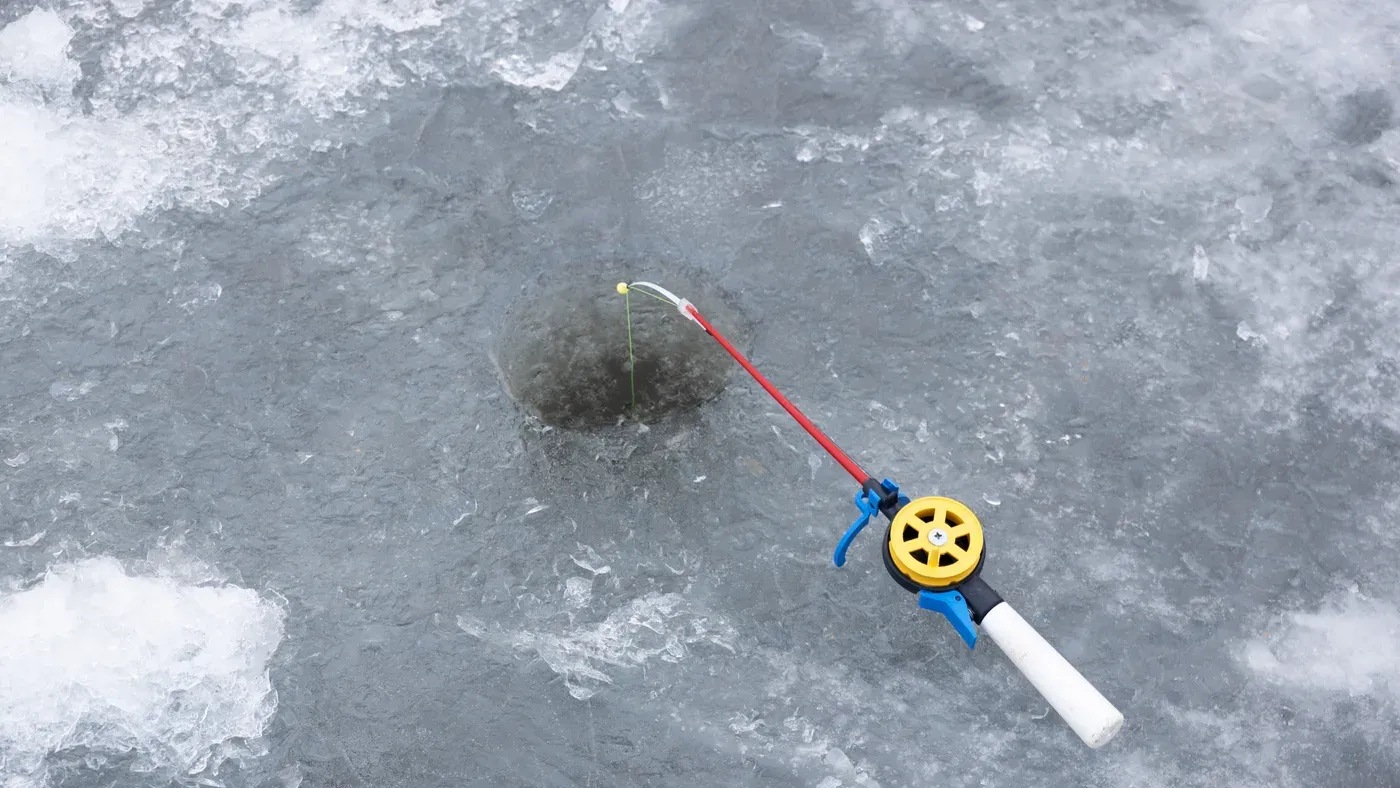 Pimpelfiske